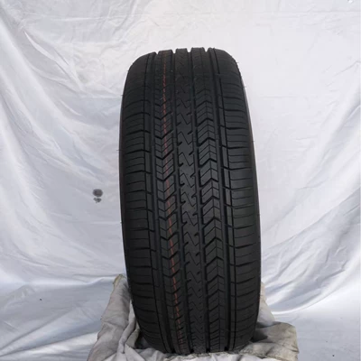 Yolsuzluq şinləri 205/55R16-Ch01 91W High
