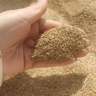 ���̾G���ͺ��o�°����N�Ѹ���é����������̼��ɷf�ļ����ƺ�N