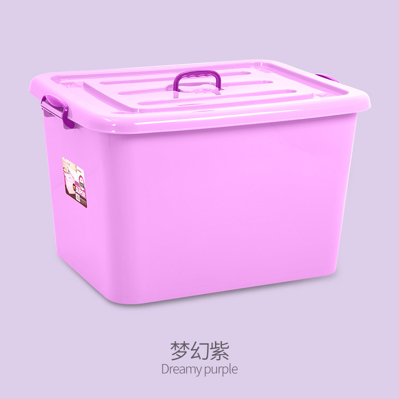 보라색