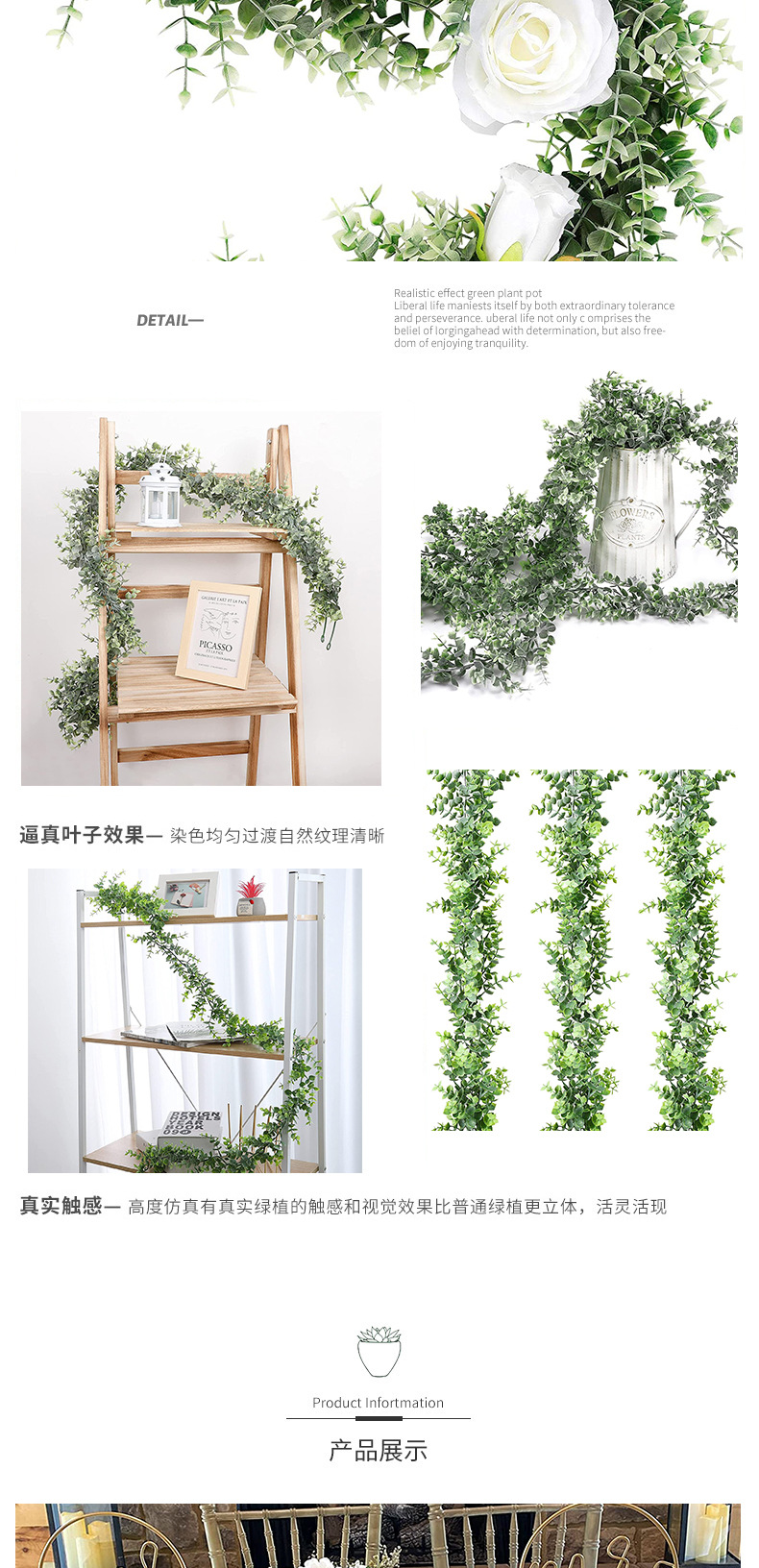 尖尤加利壁挂_05