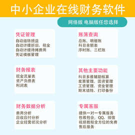 财务软件网页版单机小企业会计出纳内账管理代理记账做账系统