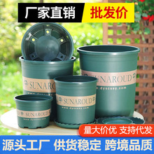 �羳Ʒ�|�Ӂ��軨�����Ϙ�֬�̨��ڏ�����Gֲ���÷Nֲ�莧�бP