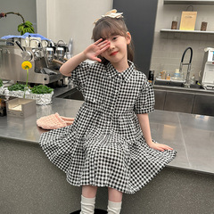 Girls' Summer Pure Cotton Short Sleeve Dress 2024 New Medium and Large Children's Pure Cotton Shirt Casual Skirt