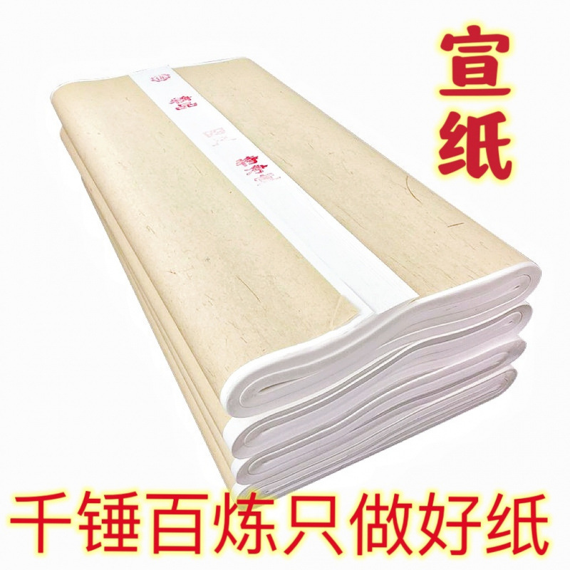 宣纸作品纸洒金加厚半生半熟书法专用纸国画生宣熟宣深仿古工笔画