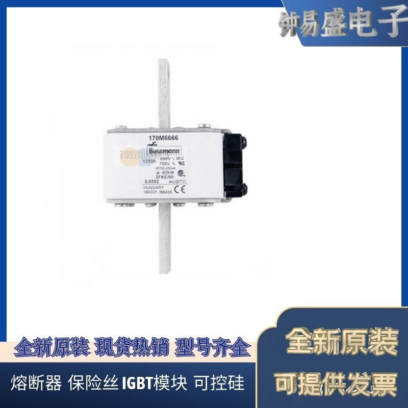 美国BUSSMANN熔断器170M6662  170M6663  170M6664  170M6665