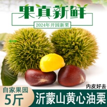 板栗生新鲜沂蒙山黄心油栗2024年新货孕妇当季现摘深山野生毛栗子