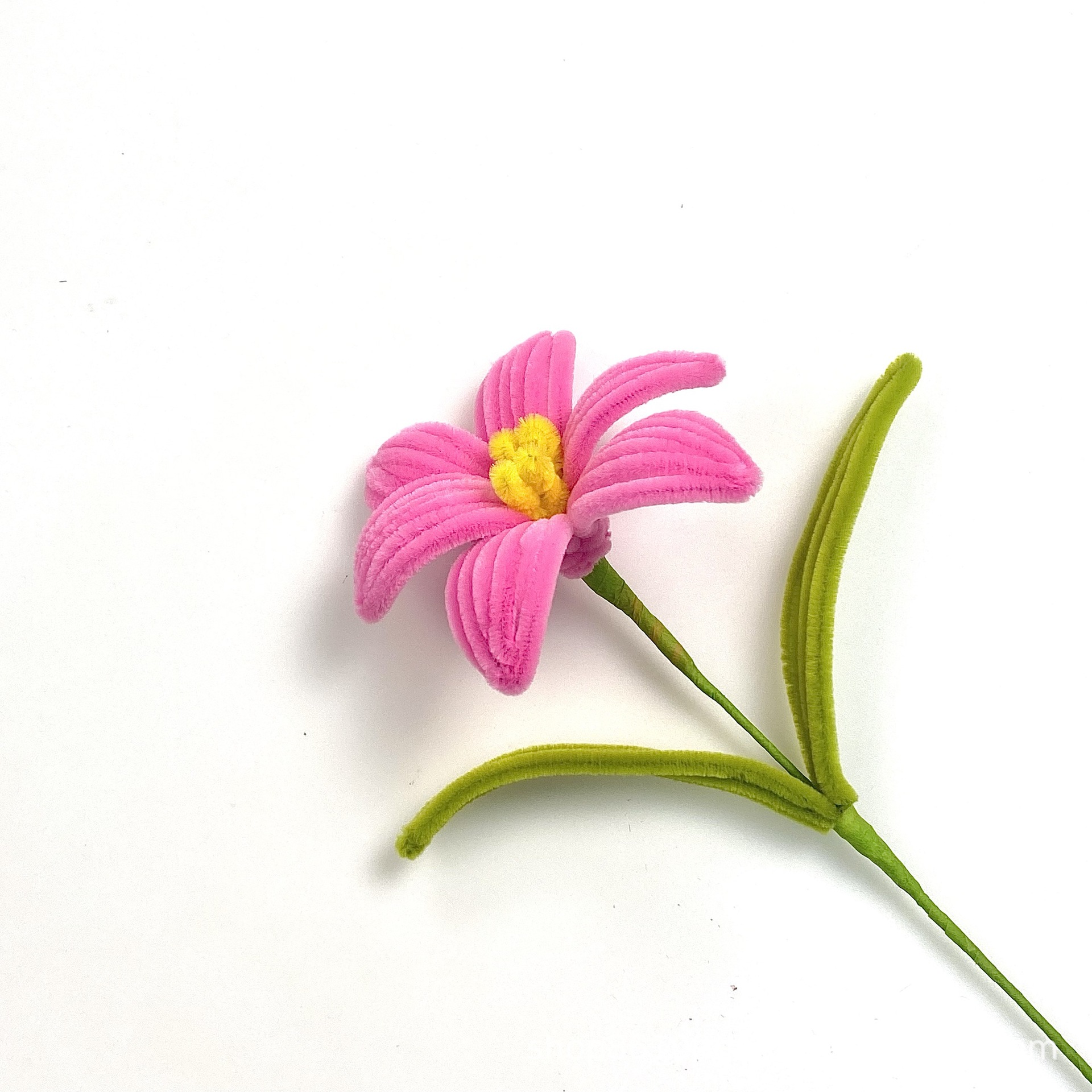 완성된 싱글 릴리 [로즈 파우더]