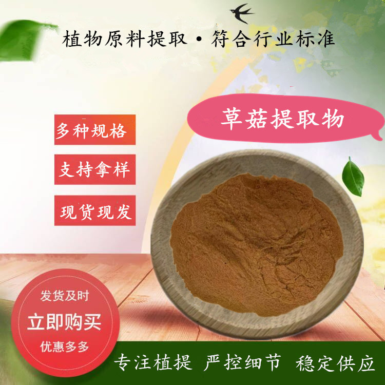 草菇提取物  水溶性草菇粉 植物提取物原料实力厂家 规格全