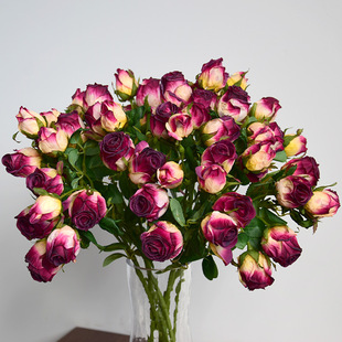 �p�ݸ߼��в廨���滨�u׃ɫ7�^��߅Сõ����ɫ�͹Ż�ˇ��߅�ٻ�