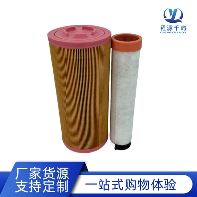 Air filter P778989P780030 Air Filter
