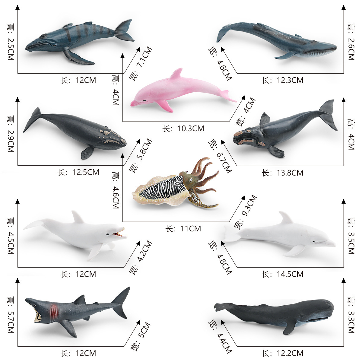 Simulación transfronteriza modelo de animales marinos cognitivo infantil tiburón ballena azul calamar ballena jorobada delfín decoración estática