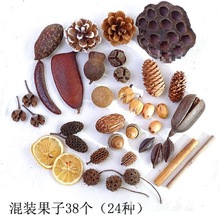 ɻɹMb׃@DIYֹϰɹɻ[յ