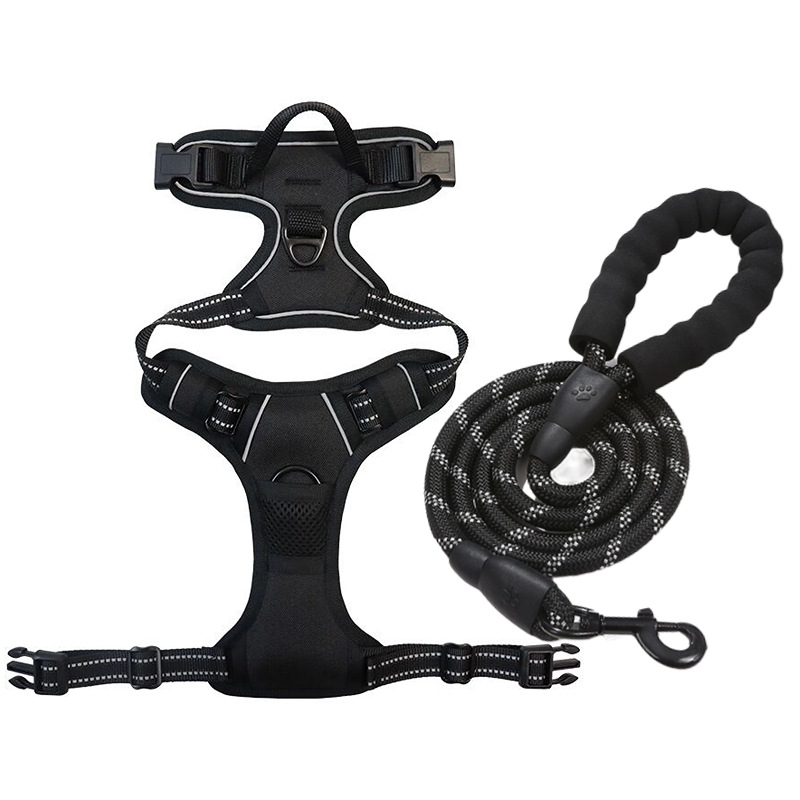 Black [strap + leash] set