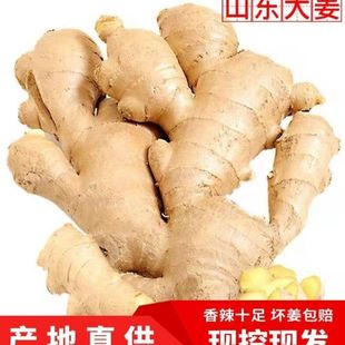 ɽ�|�������Ͻ��Ƀ��o�����ɴ����r�S�����������l�Sһ�����l