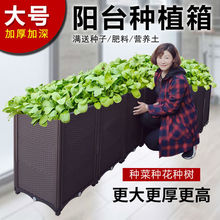 ����ľ�Nֲ������ش��L���λ�������̨�L�l���ϷN���仨�仨��