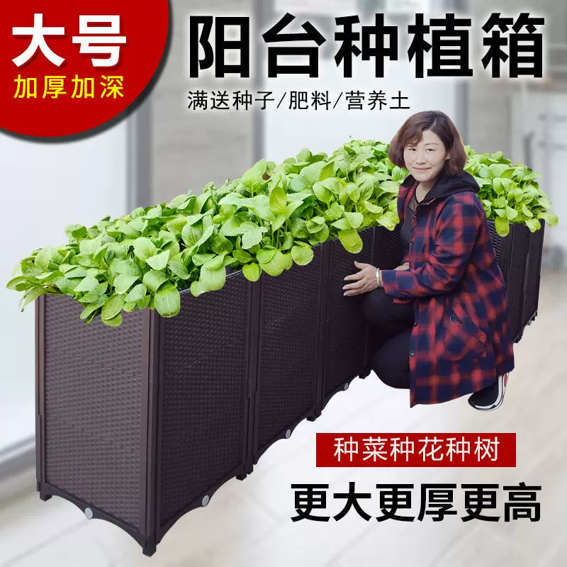 防腐木种植箱屋顶特大长方形花盆户外阳台长条塑料种菜箱花箱花槽