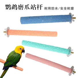 猫猫玩具;其他小宠用品;宠物帽子