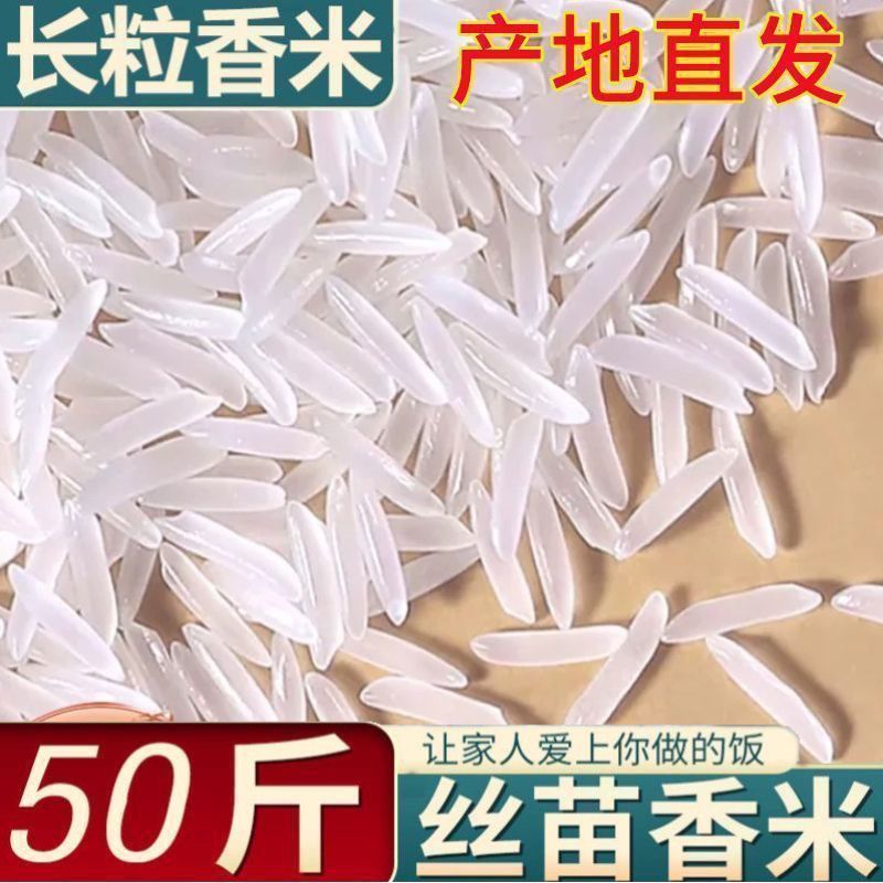 50斤长粒丝苗米24年新米晚籼米长粒香米无添加大袋原装一级大米|undefined