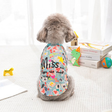 ���ļ������·��ɐ����X��T�����ܹ����·����_���������l