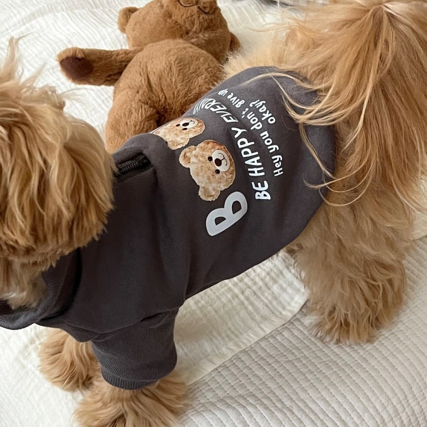 강아지 고양이 겨울 곰돌이 후드 조끼 티셔츠 소형견 테디 반려동물 의류