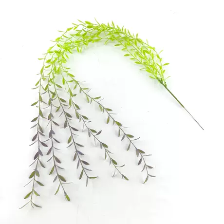 Purple tail