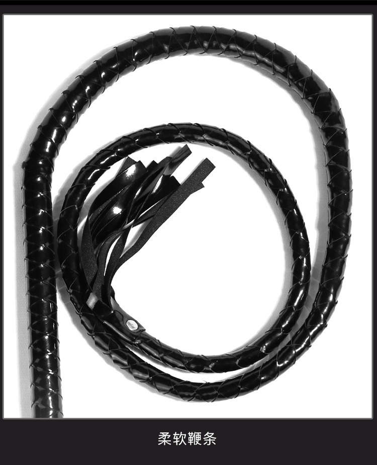 Jiuai SM PU Leather Whip 135cm Adult Sensory Play Tassel Whip — detail image 4