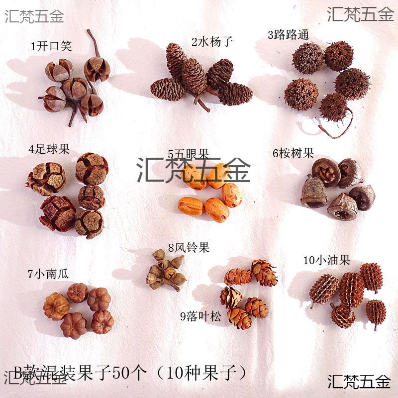 Lk Kindergarten Pine Cone Thousand-Grained Fruit Acorn Material Decorative Dried Flowers Handmade Fruit Natural Christmas Flowers