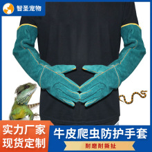 ������Ʒ���R�d�������x��ҧ���� 62cm������o���׾����߷�ҧ