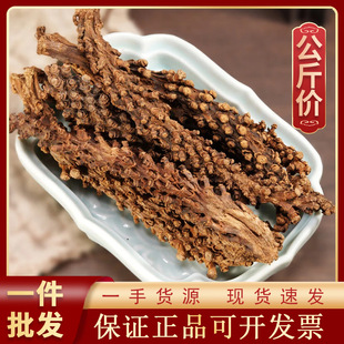 1000g���޲���ș�ĬF؛���l���� �ӌO�� ��߅�� ���۲� �u�ǲ�