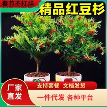 һltɼϱNֲ҃⻨ܾGֲ辰ֲļ