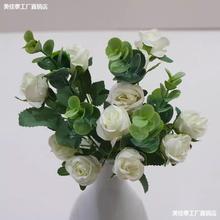 ɭϵ���滨10֧�b��픾Gֲ�~�ӻ�c�G�������~�b��߻��٘��~