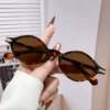 C5-tortoiseshell frame-tea slices