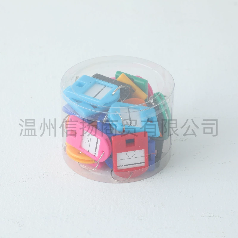Plastic removable keychain for keys for office