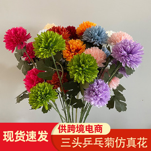 ��c���滨ƹ�Ҿչ��T·���b���껨�Ҿ��b��žGɫ���滨���l