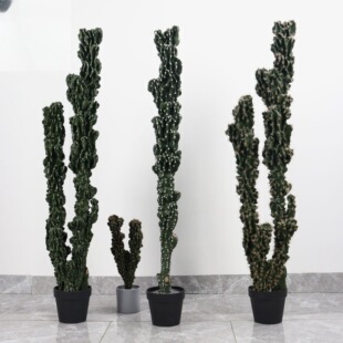 ���������ƻ��^ɽӰɳ��ֲ�������҃��b��辰�[������Gֲ�b�