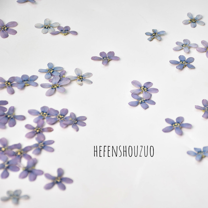 Embossed Specimen Blue Star Flower Handmade Jewelry Material Dried Flower Bookmark Artistic Children's Crafts Sticker Diy Embossed Specimen Blue Star Flower Handmade Jewelry Material Dried Flower Bookmark Artistic Children's Crafts Sticker Diy