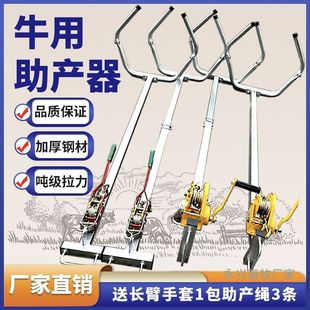 �Ӻ�ţ�����aĸţ�y�a�������a��ţ�ò��P����a����ţ���a��ͨ��