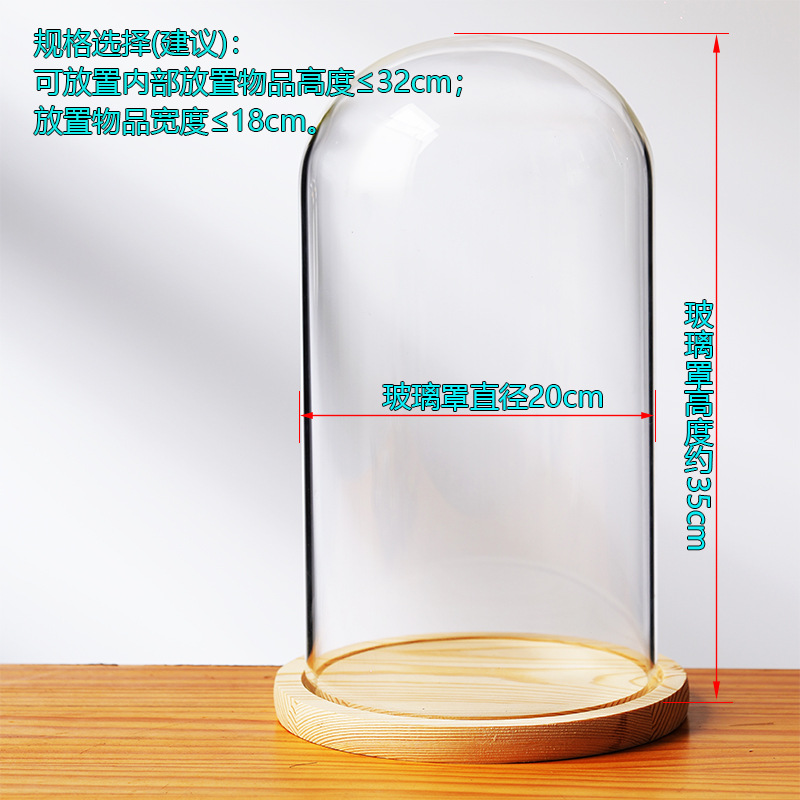 Cubierta cilíndrica de vidrio transparente sin lámpara de madera de estilo inmortal cubierta de polvo de flores hecha a mano decoración creativa de escritorio de bloques