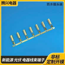 �S��ֱ��2.3��ˮ���^�˺��ղ��^�~�ܶ����B�Ӳ�ᘷ�ˮ�Ӿ�����