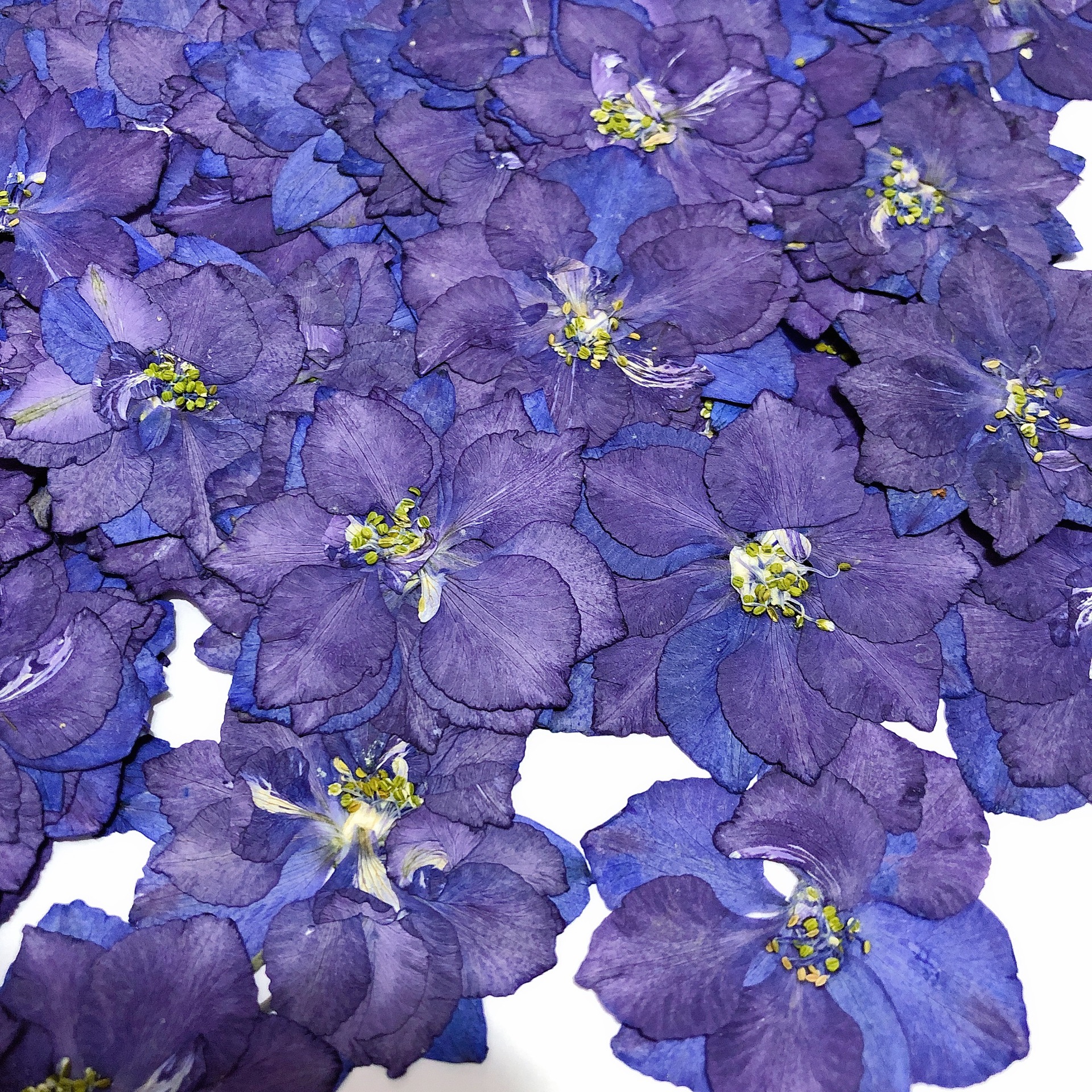 微信图片_20221006211908