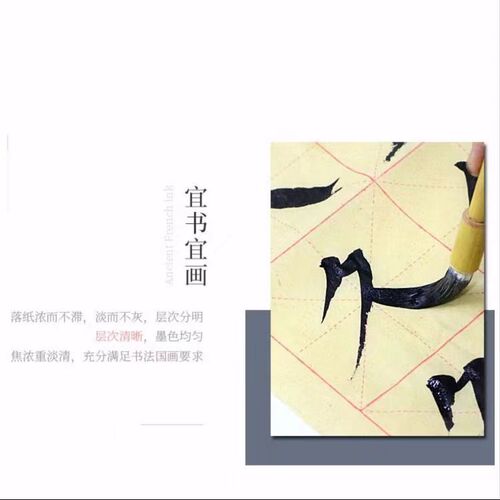 Jiujiu Inks 100g Brush Calligraphy and Painting Thick Ink Ink Liquid Black Ink Chinese Painting Practice Stationery Set