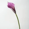 Purple, big