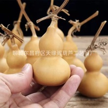 厂家批发美国手捻小葫芦文玩把玩精品小葫芦工艺品地摊热卖