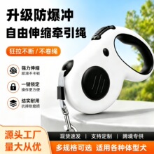 ������K����s�����y�ԄӠ����������޹�5�׷����_�������K