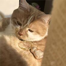 ؈ë�ռ{���؈��ë����͸������ë�l�ռ{�z��耳׿ۼo��