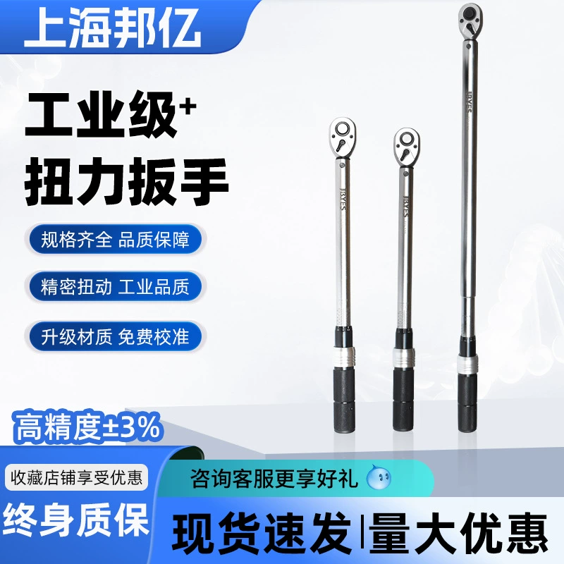 Предустановленный динамометрический ключ Bangyi TG, высокоточный Регулируемый механический динамометрический ключ промышленного класса с высоким крутящим моментом