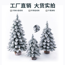 �S��ֱ�N�}�Q��С��ֲ�q�������}�Q�䁆�R�d�����´����W�L�}�Q��