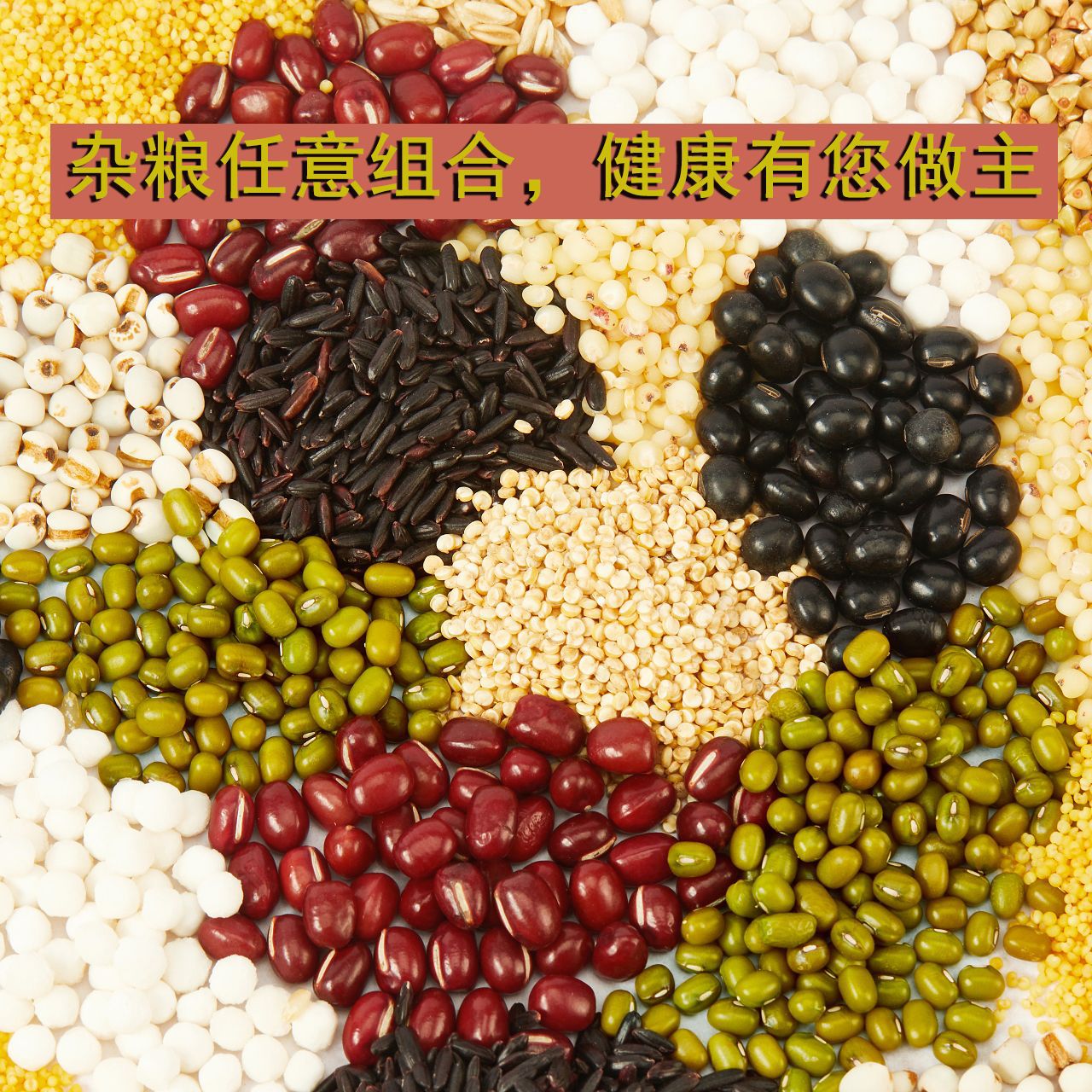 �˱����׽�����ζ�ز�����������������մ�װ��������������