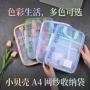 小贝壳作业小学生书本文件袋