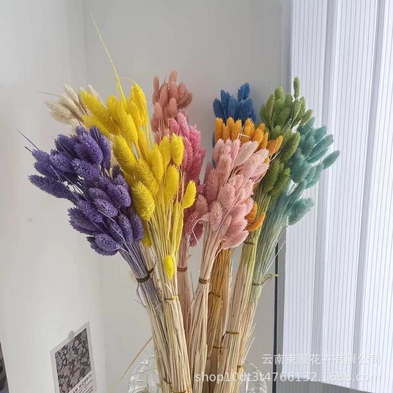 Wholesale Source Factory Gemstone Grass Bouquet Beauty Grass Flower Arrangement Eternal Flower Pressed Flower Real Dried Flower Leaf Vein Flower Wholesale Source Factory Gemstone Grass Bouquet Beauty Grass Flower Arrangement Eternal Flower Pressed Flower Real Dried Flower Leaf Vein Flower